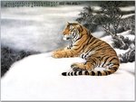 cnpaint_1004.jpg