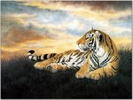 cnpaint_1006.jpg