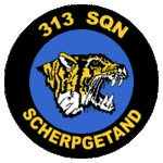 crst_313sqn.gif