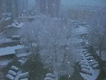 Dscn1435.jpg