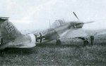il2.jpg