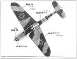 BF109G camo.jpg