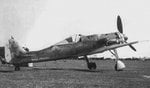 Copy of fw190d_2.jpg