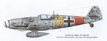 Bf109G-6_Yellow_13_Uffz_Klaus_Lambio_JG_300.jpg