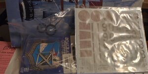 20231002 Salmson decal details.jpg