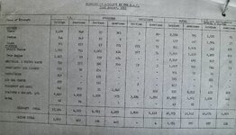IMG_2428.jpeg