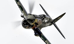 _D3N2549 for web.jpg