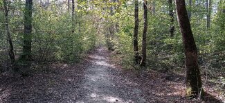 IMG_20231008_164455.jpg