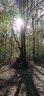 IMG_20231008_164654.jpg