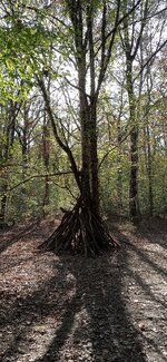 IMG_20231008_164701.jpg