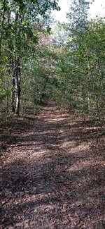 IMG_20231008_164735.jpg