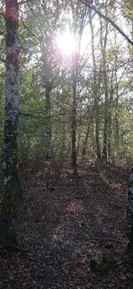 IMG_20231008_165002.jpg