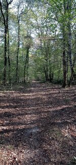 IMG_20231008_165109.jpg