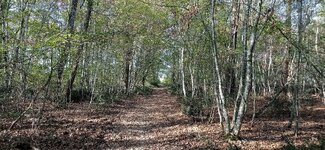 IMG_20231008_165336.jpg