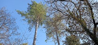 IMG_20231008_165928.jpg
