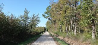 IMG_20231008_170334.jpg