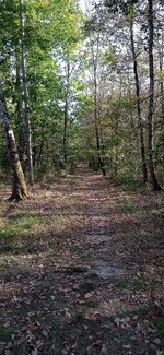 IMG_20231008_170851.jpg