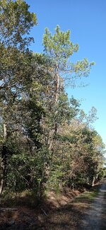 IMG_20231008_170933.jpg