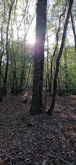 IMG_20231008_171857.jpg