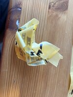 IMG_0254.jpeg IMG_0254.jpeg