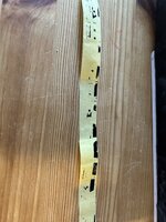 IMG_0253.jpeg IMG_0253.jpeg