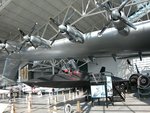 25381637-l_393.jpg