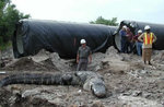 18footgator_198.jpg