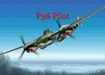 ww2_p38__2__993.jpg