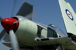 seafury_177.jpg