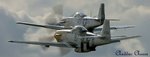 44-72216_20_cw2_183.jpg