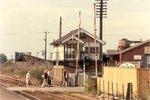 7-brandoncrossing_121.jpg