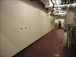 wallpainter5-1_196.jpg