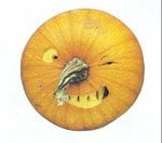 veggie-art12_124.jpg