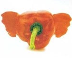 veggie-art-10_163.jpg