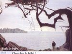 liiusion_160.jpg