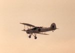 7-swordfish_833.jpg
