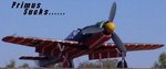 zsigfw-109d-9_red_194.jpg