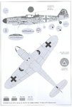 Bf109G-14 78XXXX_Camo_bb.JPG