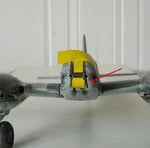 nose100a.JPG