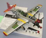 P-51D_2008.JPG