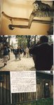 scan0005.jpg