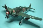 Fujimi Fw190A-7_3850.JPG