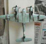nose203.jpg
