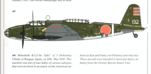 Mitsubishi Ki-21-IIa 3 Dokiritsu Chutai May 1945.png