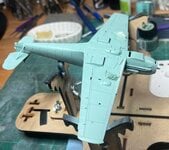 Sky Blue on Belly.jpg