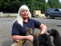 Cat at Nutsown - nenagh on right.JPG