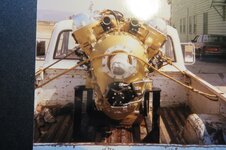 Gold Merlin 3.jpg