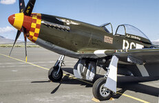 R98  early   NN  725  copy.jpg