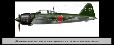 Mitsubishi A6M5 Yokosuka Kaigun 1945.png