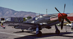 R81 3  261  copy.jpg